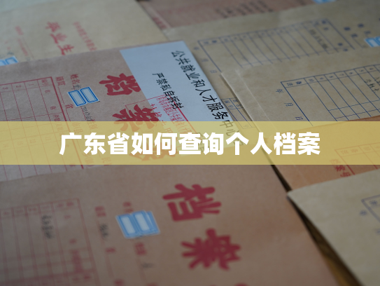 广东省如何查询个人档案