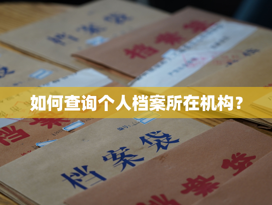 如何查询个人档案所在机构？