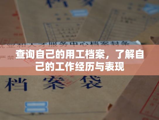 查询自己的用工档案，了解自己的工作经历与表现