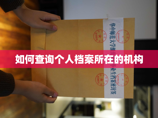 如何查询个人档案所在的机构
