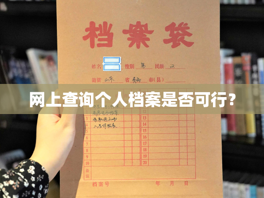 网上查询个人档案是否可行？