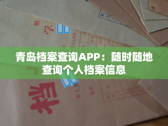 青岛档案查询APP：随时随地查询个人档案信息