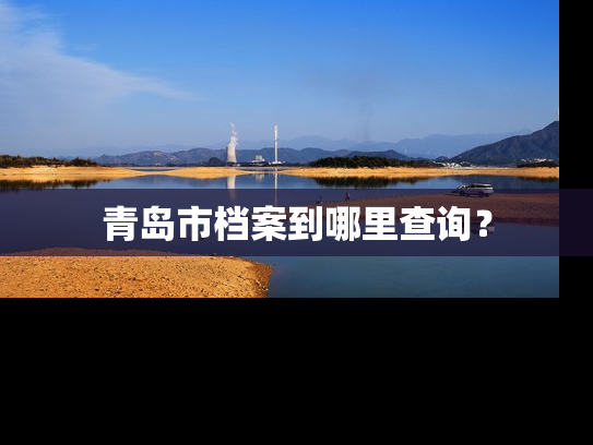 青岛市档案到哪里查询？