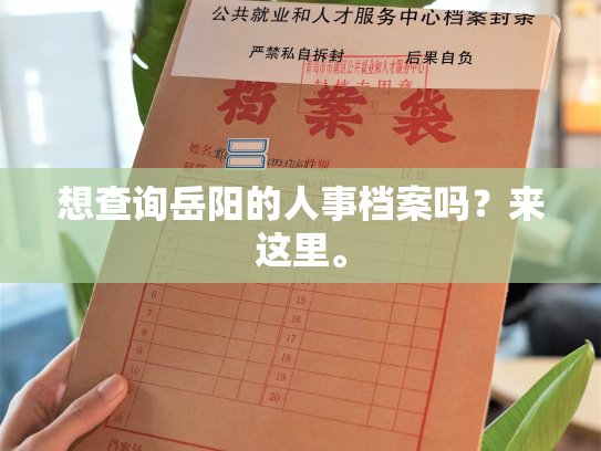 想查询岳阳的人事档案吗？来这里。