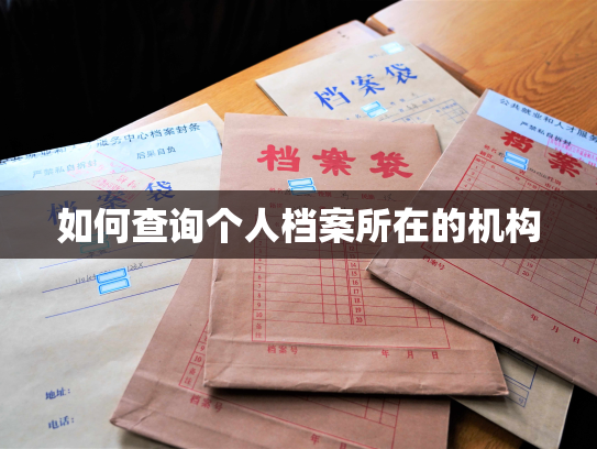 如何查询个人档案所在的机构