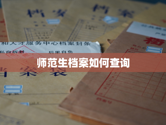 师范生档案如何查询