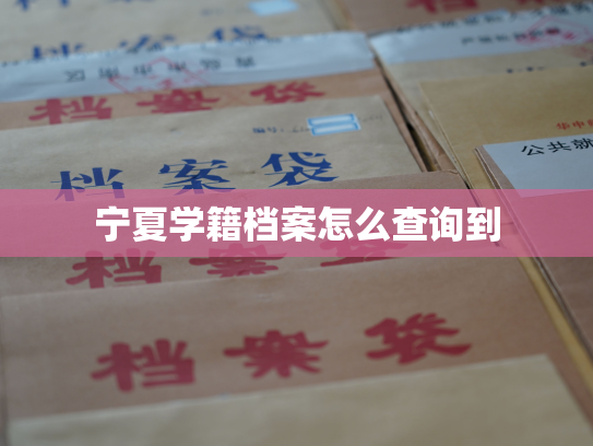 宁夏学籍档案怎么查询到