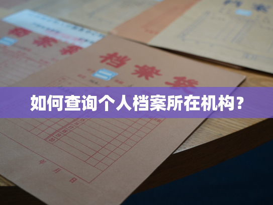 如何查询个人档案所在机构？