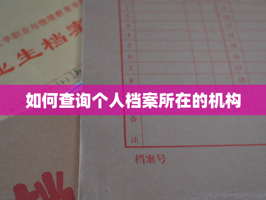如何查询个人档案所在的机构