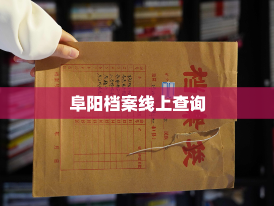 阜阳档案线上查询