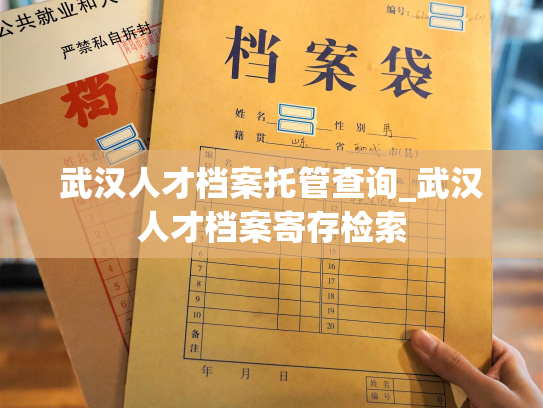 武汉人才档案托管查询_武汉人才档案寄存检索