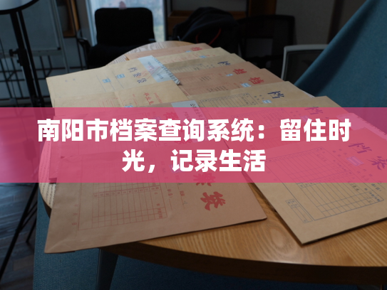南阳市档案查询系统：留住时光，记录生活