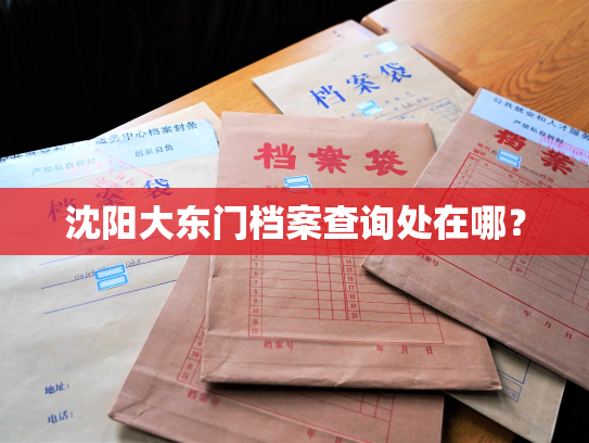 沈阳大东门档案查询处在哪？