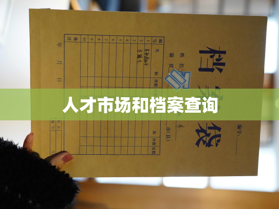 人才市场和档案查询