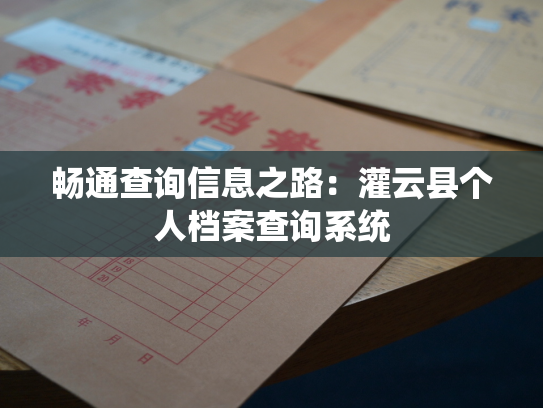畅通查询信息之路：灌云县个人档案查询系统