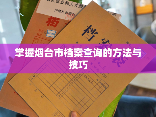 掌握烟台市档案查询的方法与技巧