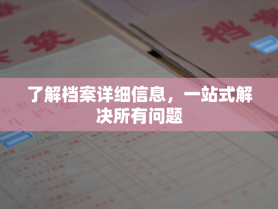 了解档案详细信息，一站式解决所有问题