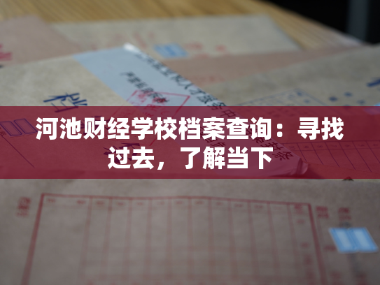 河池财经学校档案查询：寻找过去，了解当下