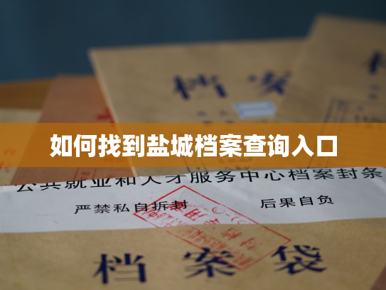 如何找到盐城档案查询入口