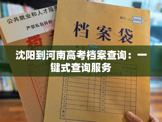 沈阳到河南高考档案查询：一键式查询服务