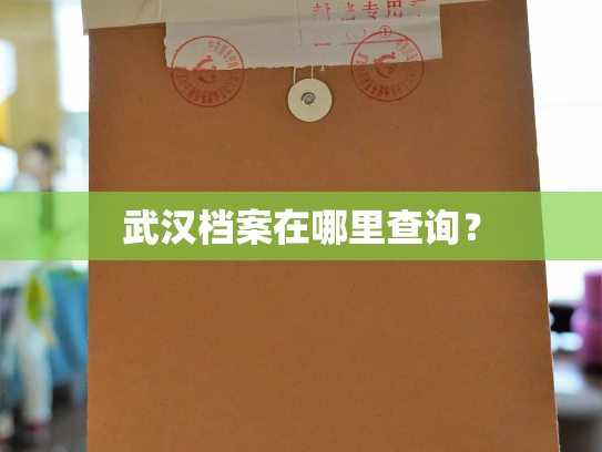 武汉档案在哪里查询？