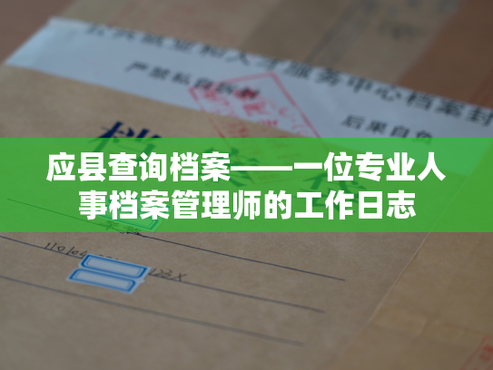 应县查询档案——一位专业人事档案管理师的工作日志