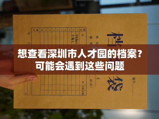 想查看深圳市人才园的档案？可能会遇到这些问题