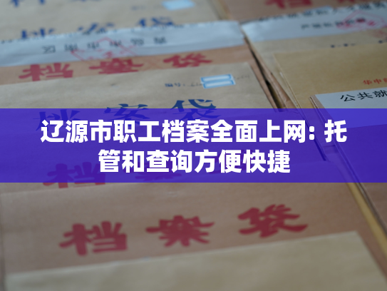 辽源市职工档案全面上网: 托管和查询方便快捷