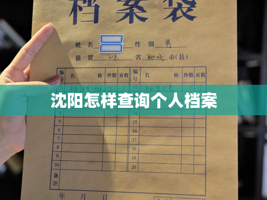 沈阳怎样查询个人档案