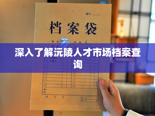 深入了解沅陵人才市场档案查询