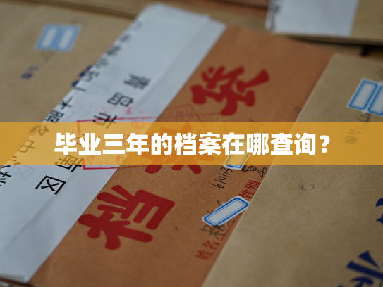 毕业三年的档案在哪查询？