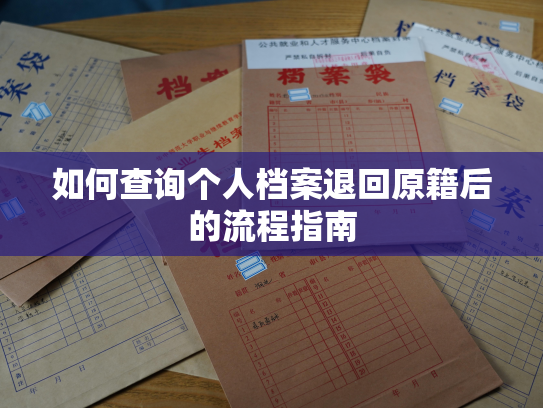 如何查询个人档案退回原籍后的流程指南