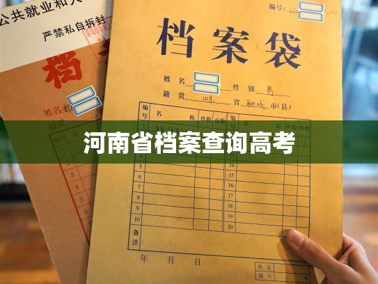 河南省档案查询高考