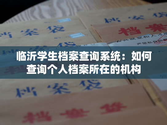 临沂学生档案查询系统：如何查询个人档案所在的机构