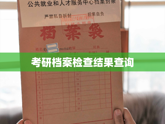 考研档案检查结果查询