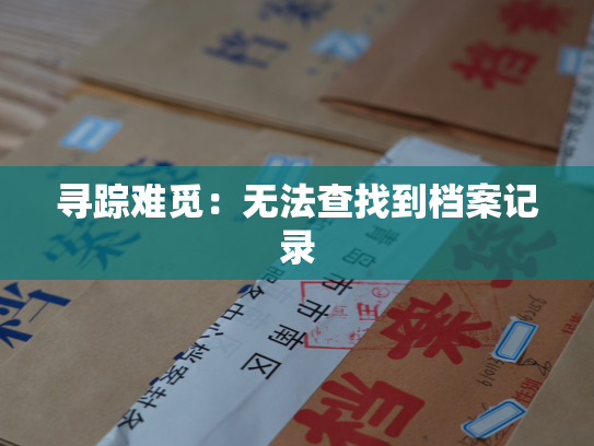 寻踪难觅：无法查找到档案记录