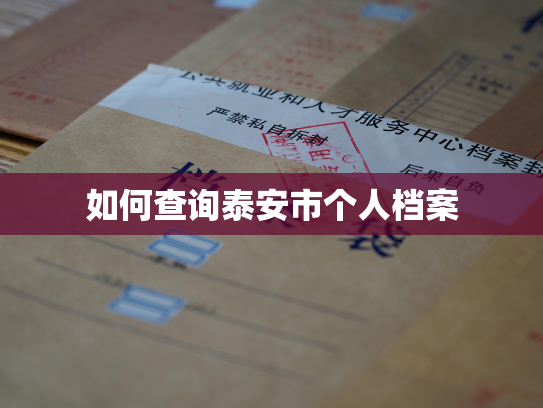 如何查询泰安市个人档案