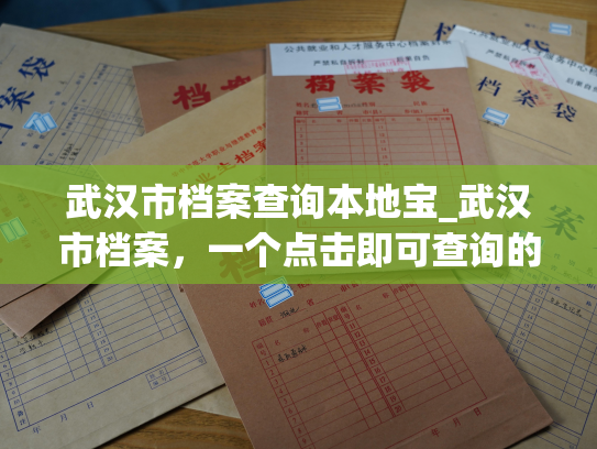 武汉市档案查询本地宝_武汉市档案，一个点击即可查询的宝藏