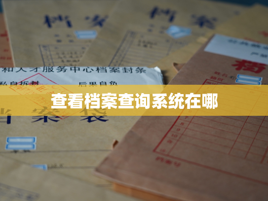 查看档案查询系统在哪