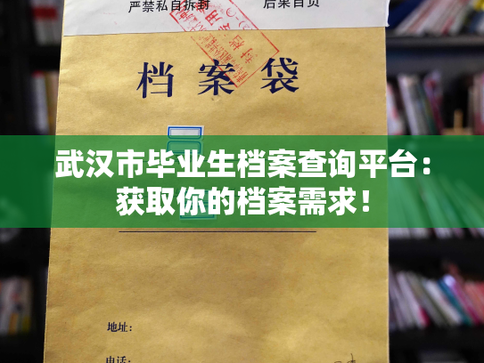 武汉市毕业生档案查询平台：获取你的档案需求！