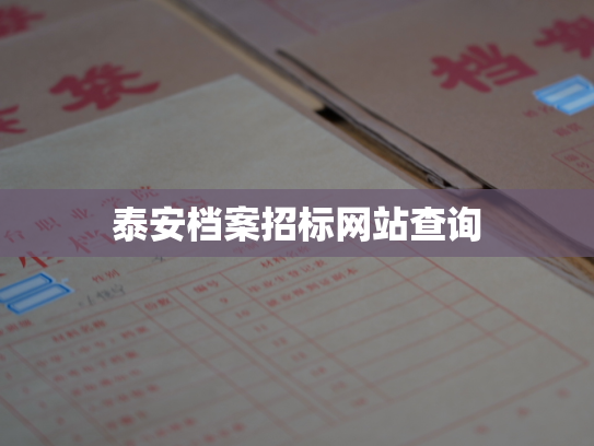 泰安档案招标网站查询