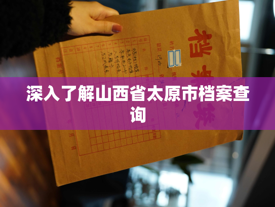 深入了解山西省太原市档案查询