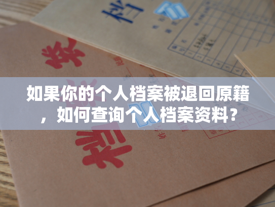 如果你的个人档案被退回原籍，如何查询个人档案资料？