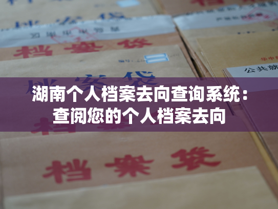 湖南个人档案去向查询系统：查阅您的个人档案去向