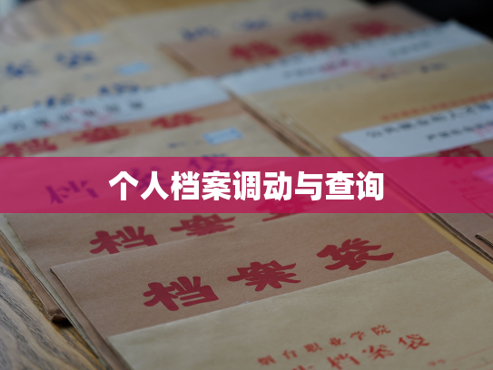 个人档案调动与查询
