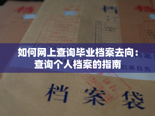 如何网上查询毕业档案去向：查询个人档案的指南