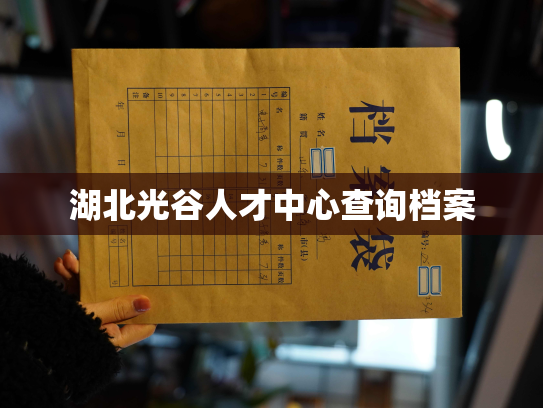 湖北光谷人才中心查询档案