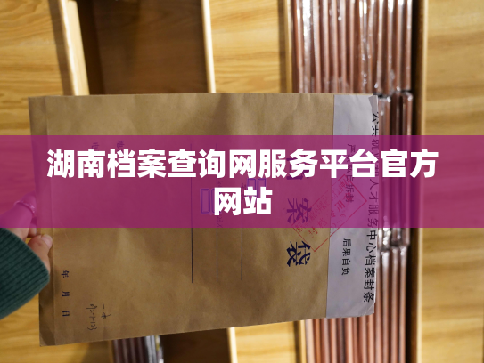 湖南档案查询网服务平台官方网站