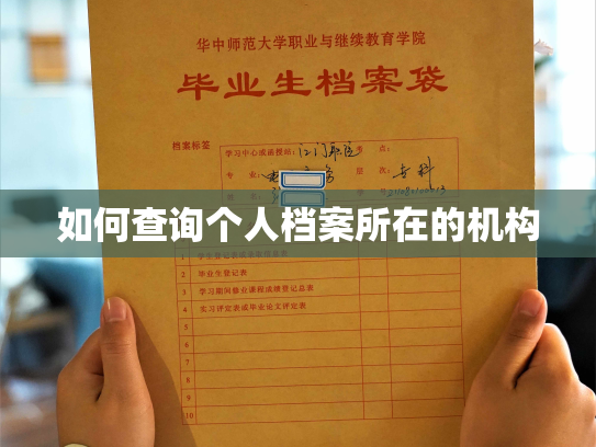 如何查询个人档案所在的机构