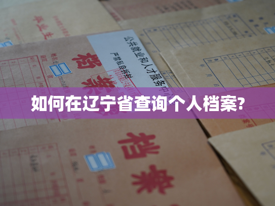 如何在辽宁省查询个人档案?